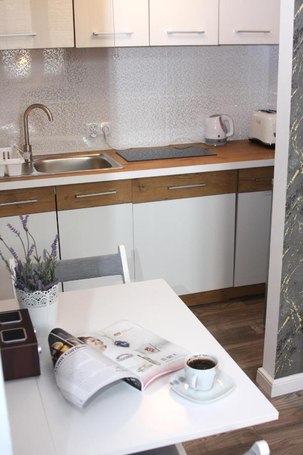 Apartament Przy Kladce رشيشوف المظهر الخارجي الصورة